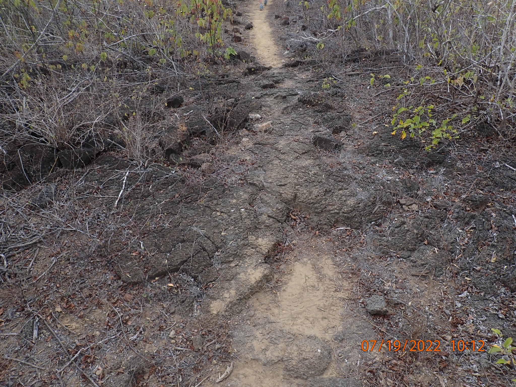 “There are more living things in 1 teaspoon of healthy soil than all the humans on earth”.