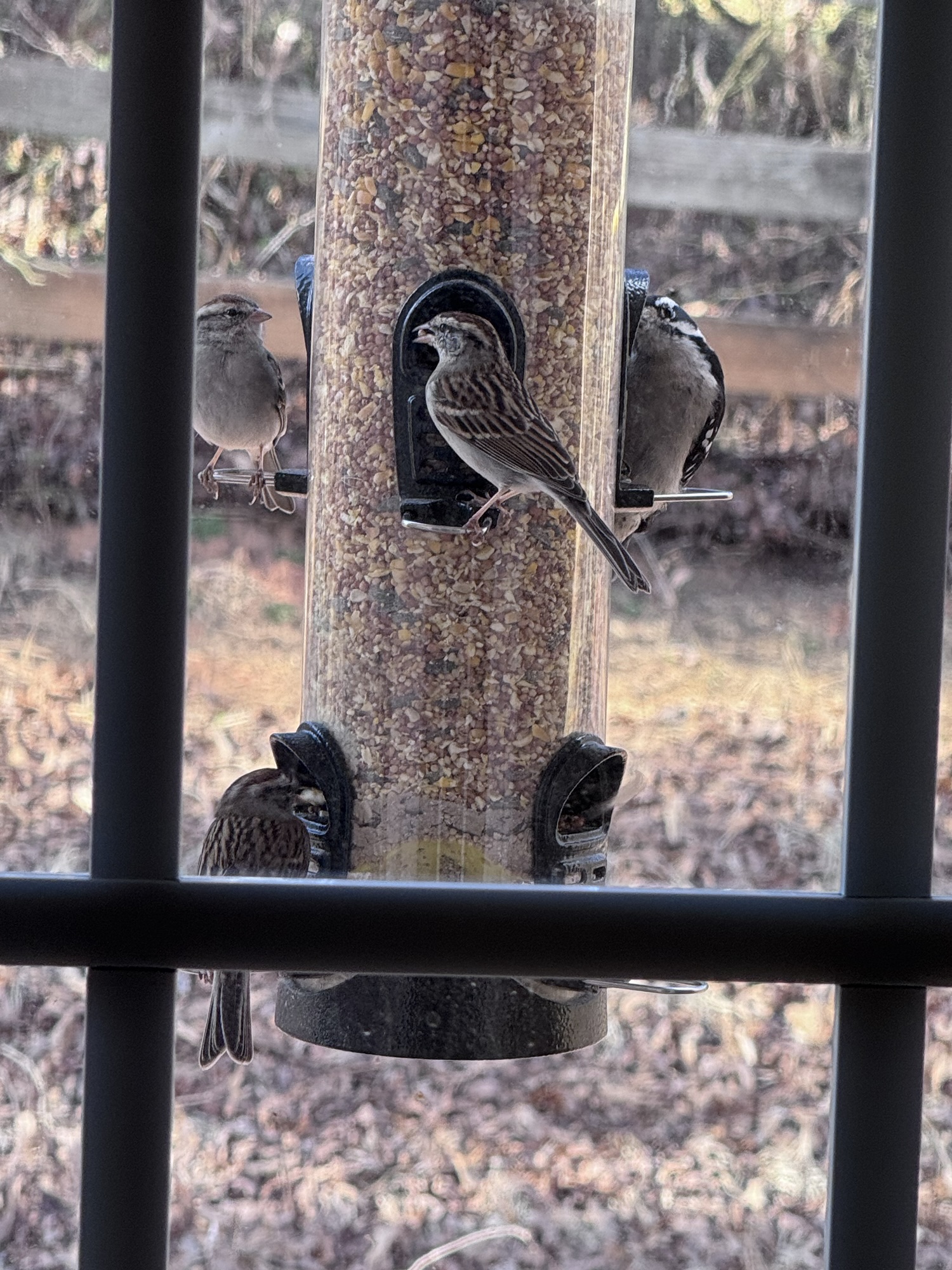 “Hear the prayer of an earth that is stricken with pain: