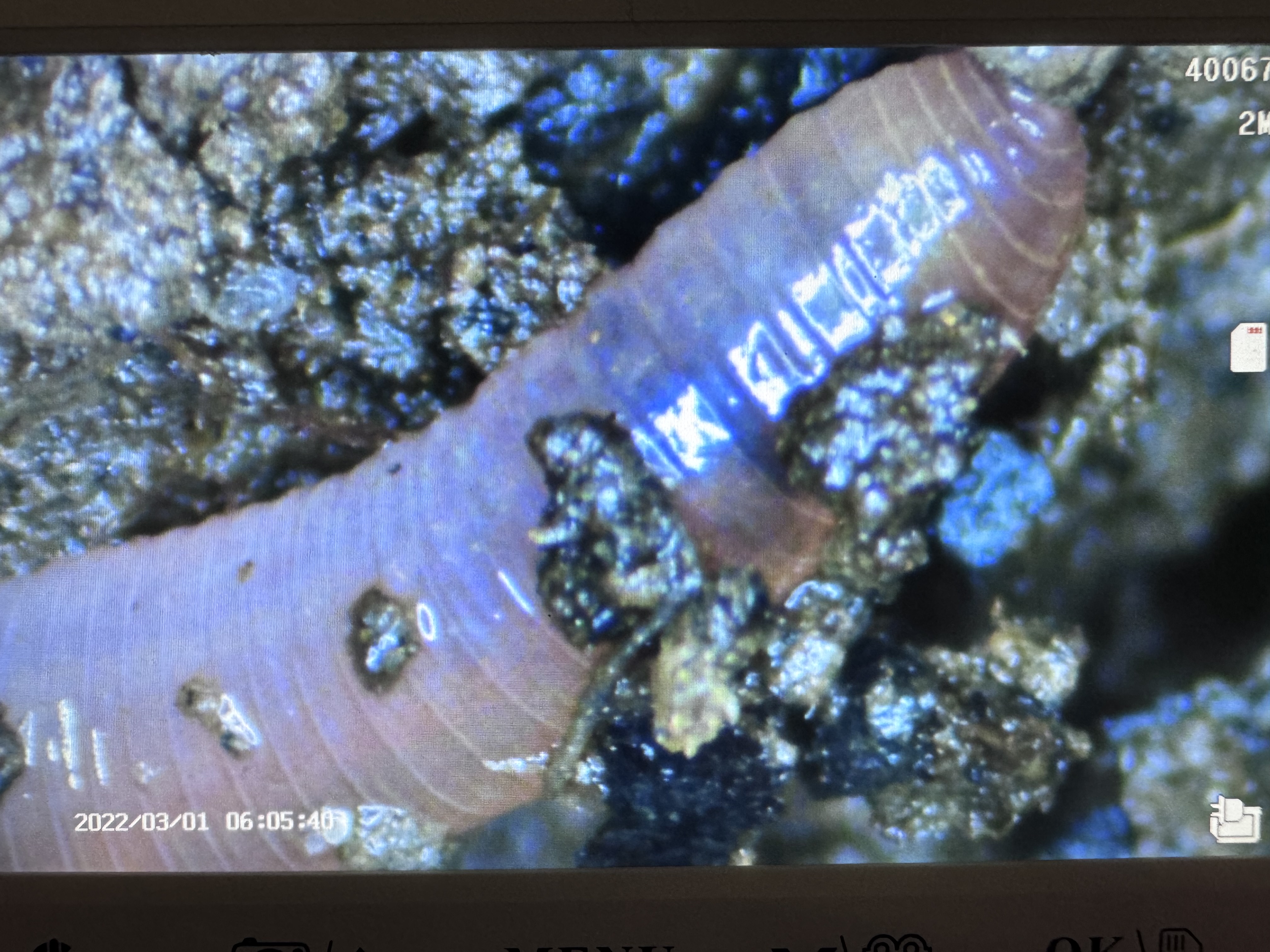 🌱 =🪱 + 🐐 💩+ 🪨+💦+🧫