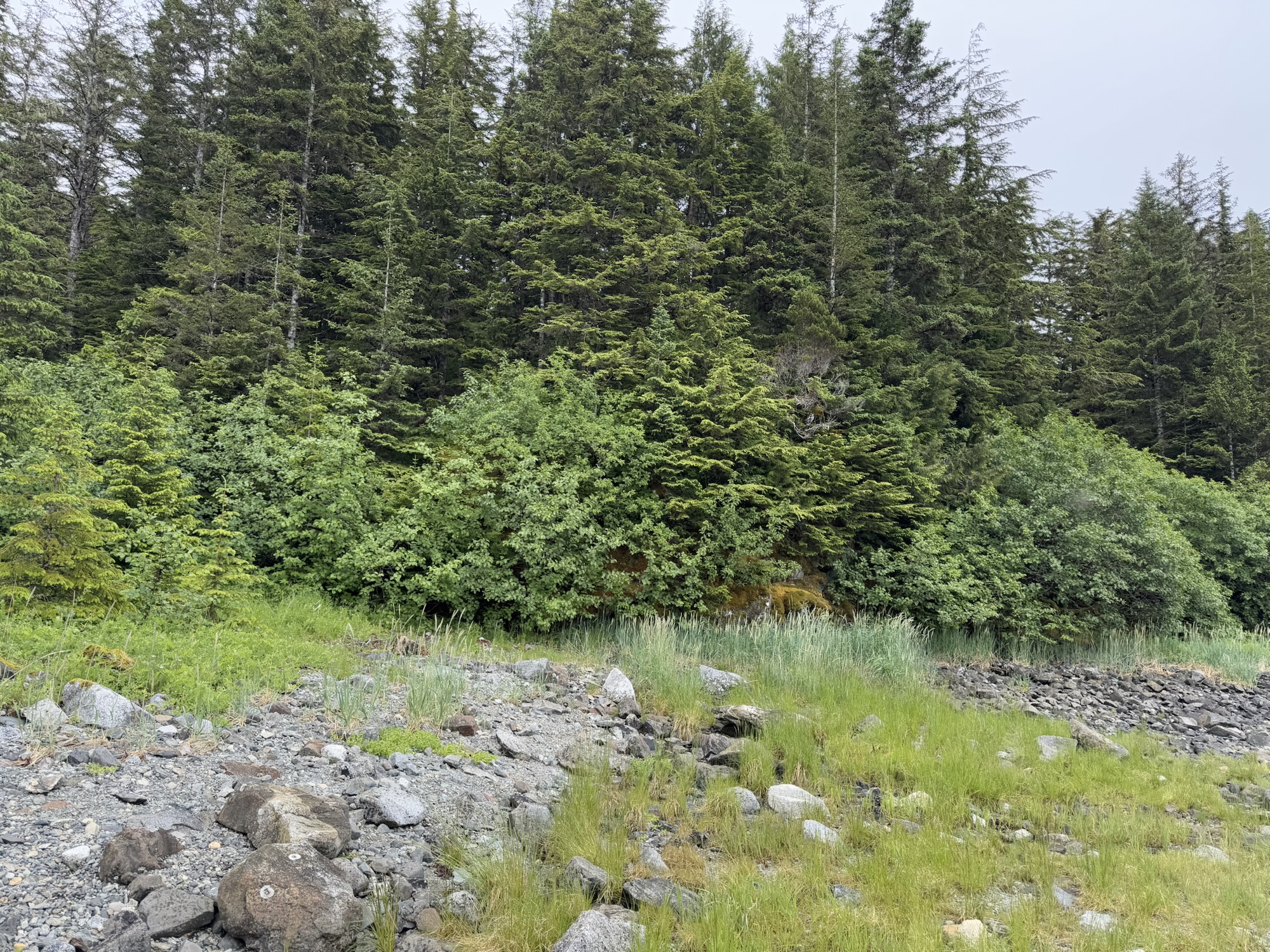 From Natural Selection to Ecological Succession.