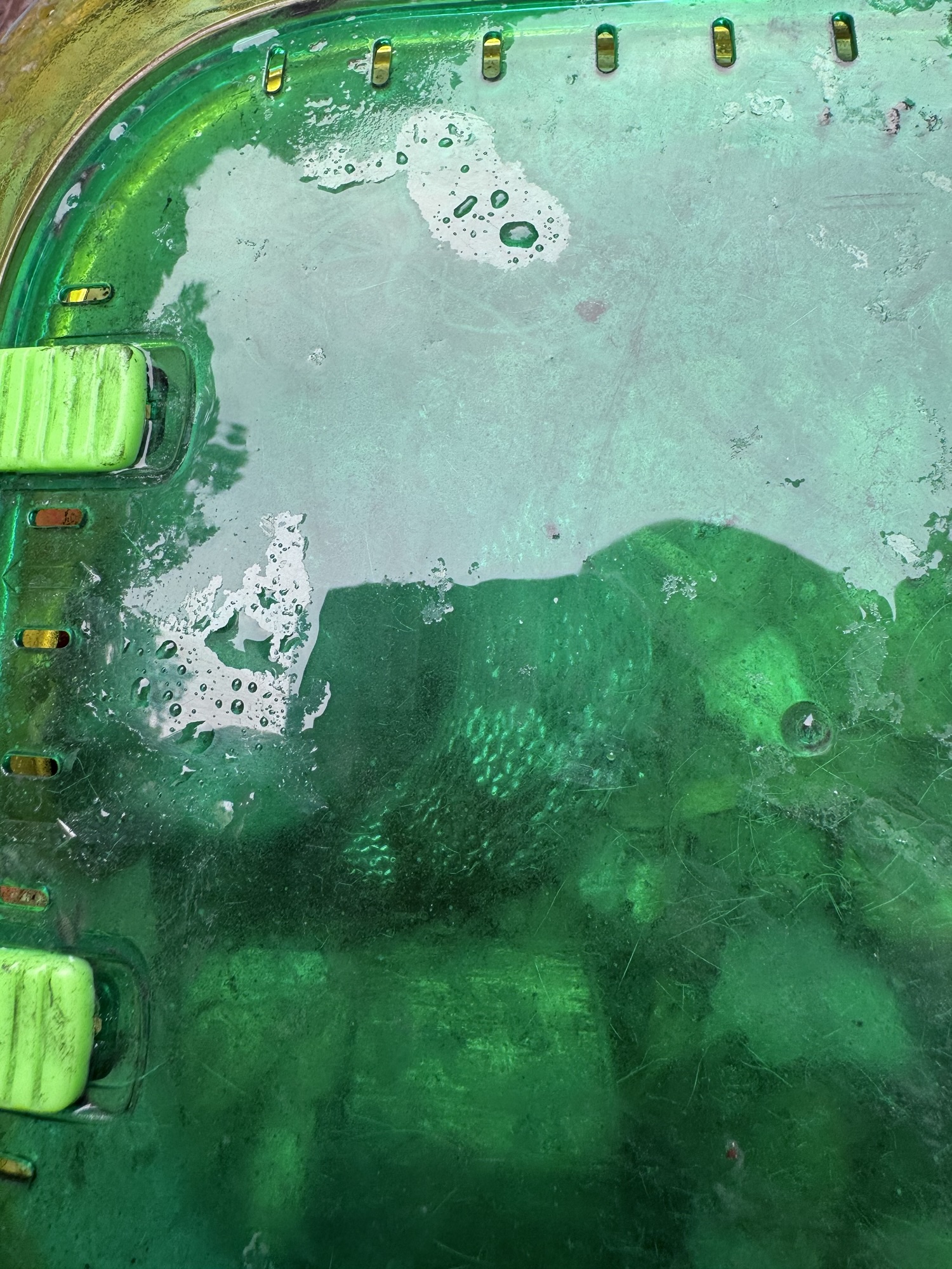 Between Pandemics Diary