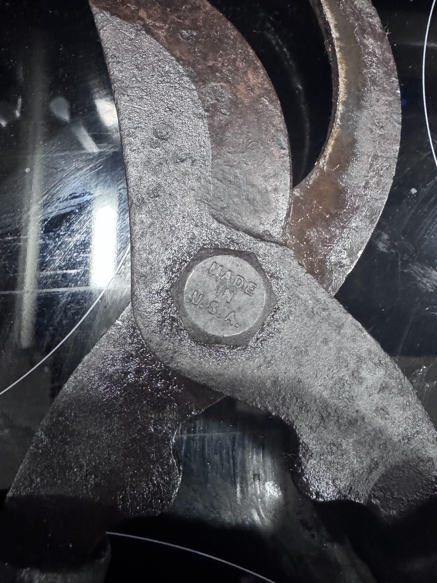 Between Pandemics Diary