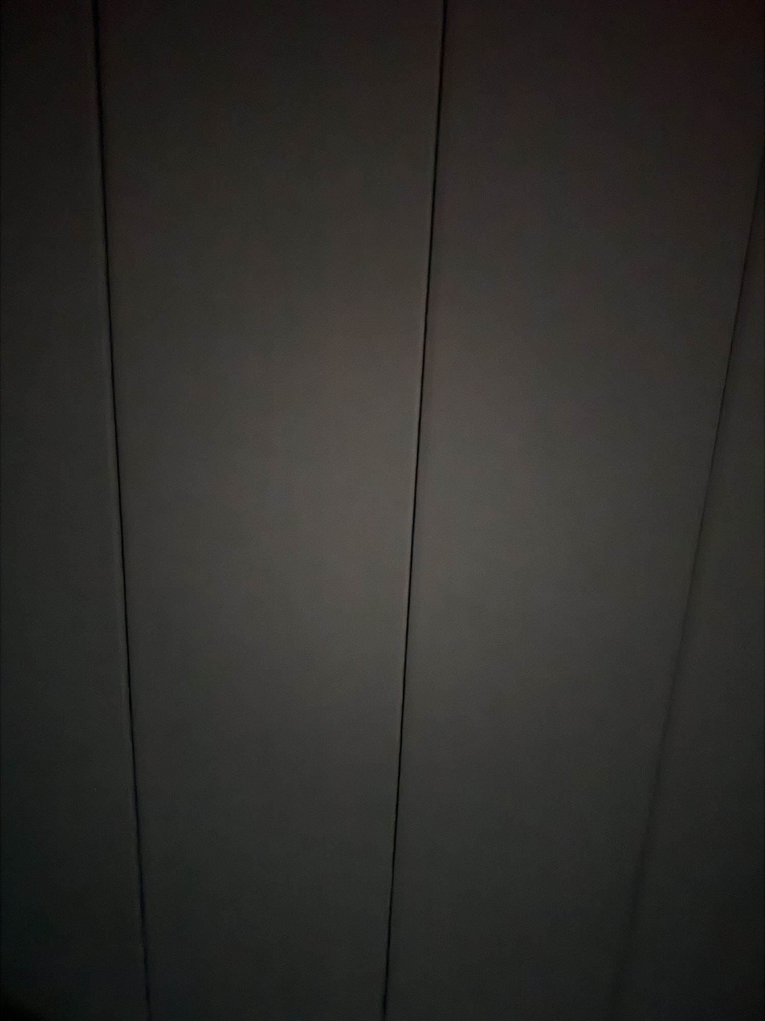 There’s Something about Trying to Sleep in a Tiny House that Makes me Ponder how Nice it is to Still be Alive